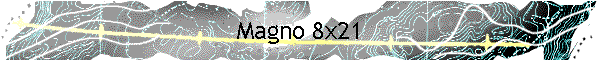 Magno 8x21